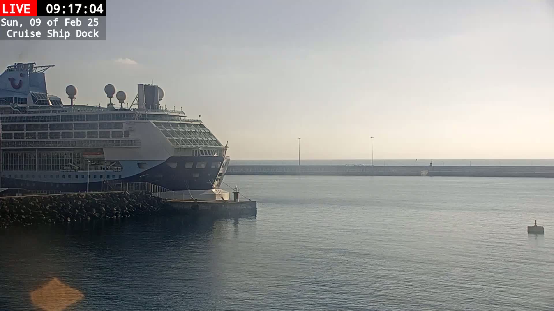 A large cruise ship is docked at a port on a hazy day.
