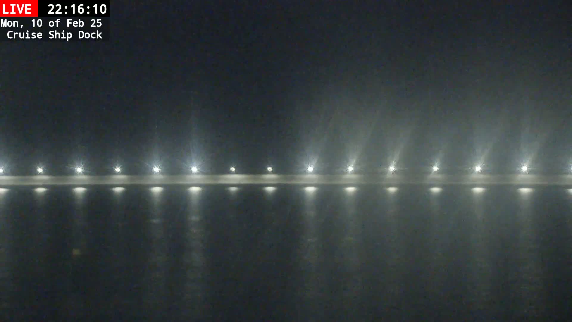 A nighttime view of a cruise ship dock in foggy conditions, illuminated by a row of lights.