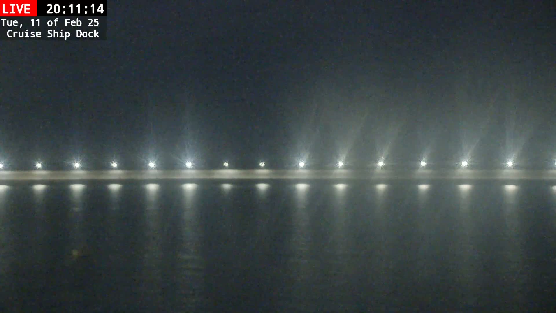 A nighttime view of a cruise ship dock in foggy conditions, illuminated by a row of lights.
