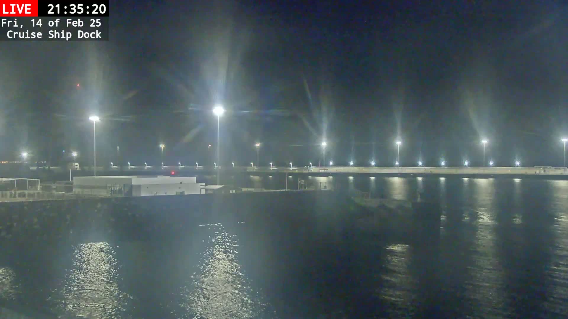 A nighttime view of a brightly lit cruise ship dock extending into calm water.