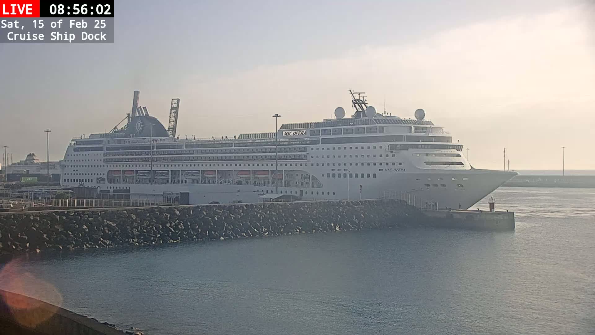 A large cruise ship is docked at a port on a hazy day.