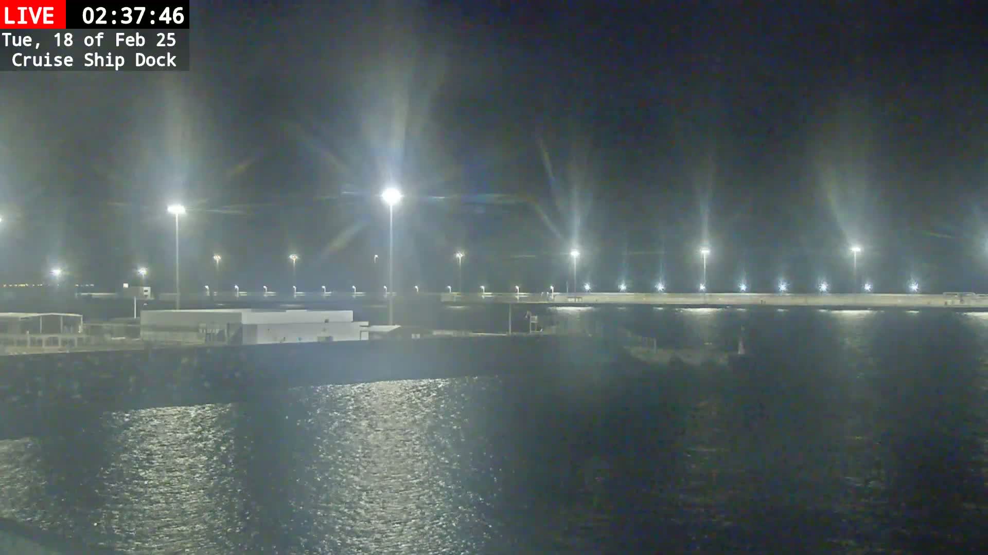 A nighttime view of a cruise ship dock illuminated by many bright lights, with calm water reflecting the lights.