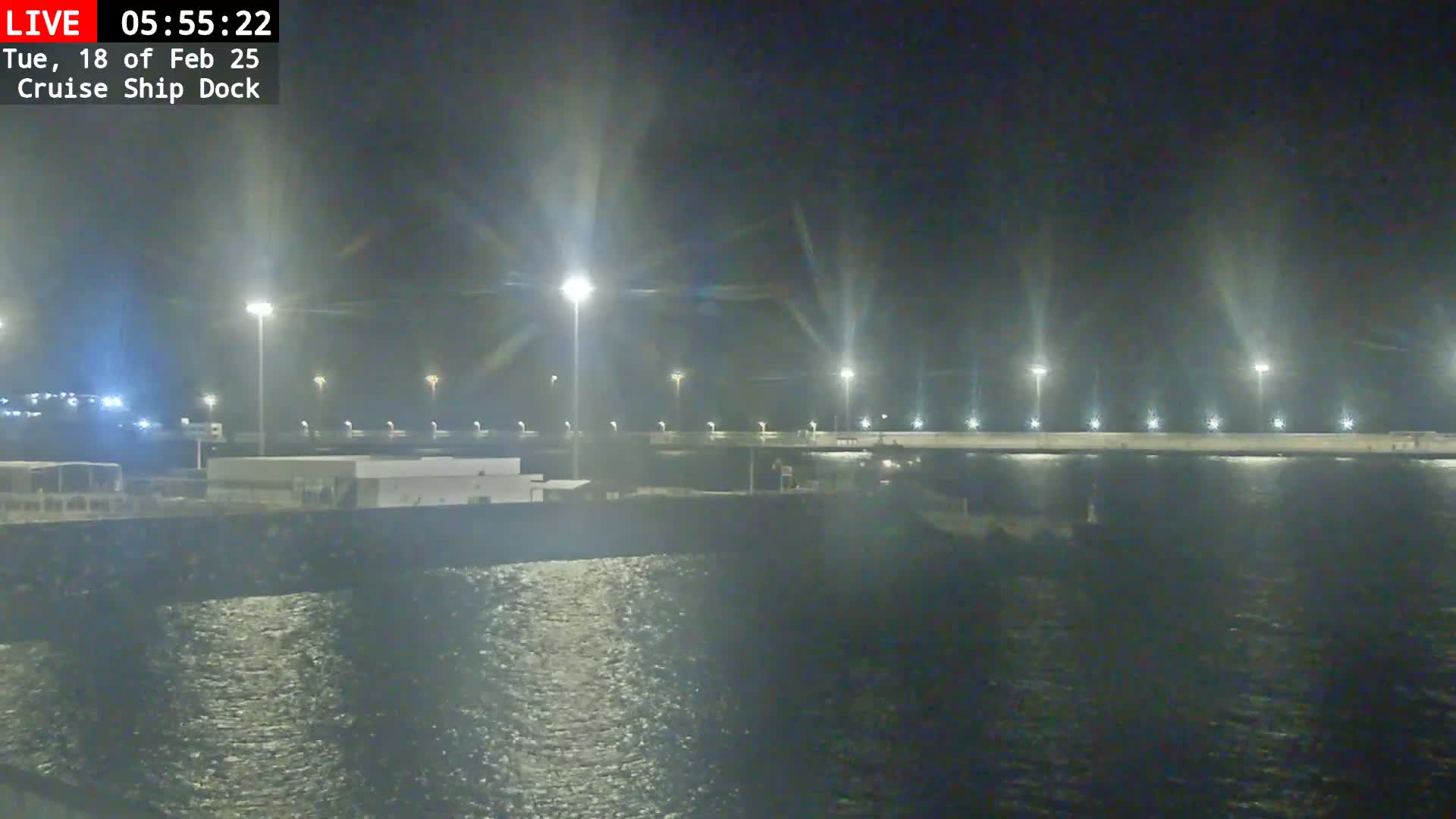 A nighttime view of a cruise ship dock illuminated by bright lights, with dark water slightly rippling in the foreground.