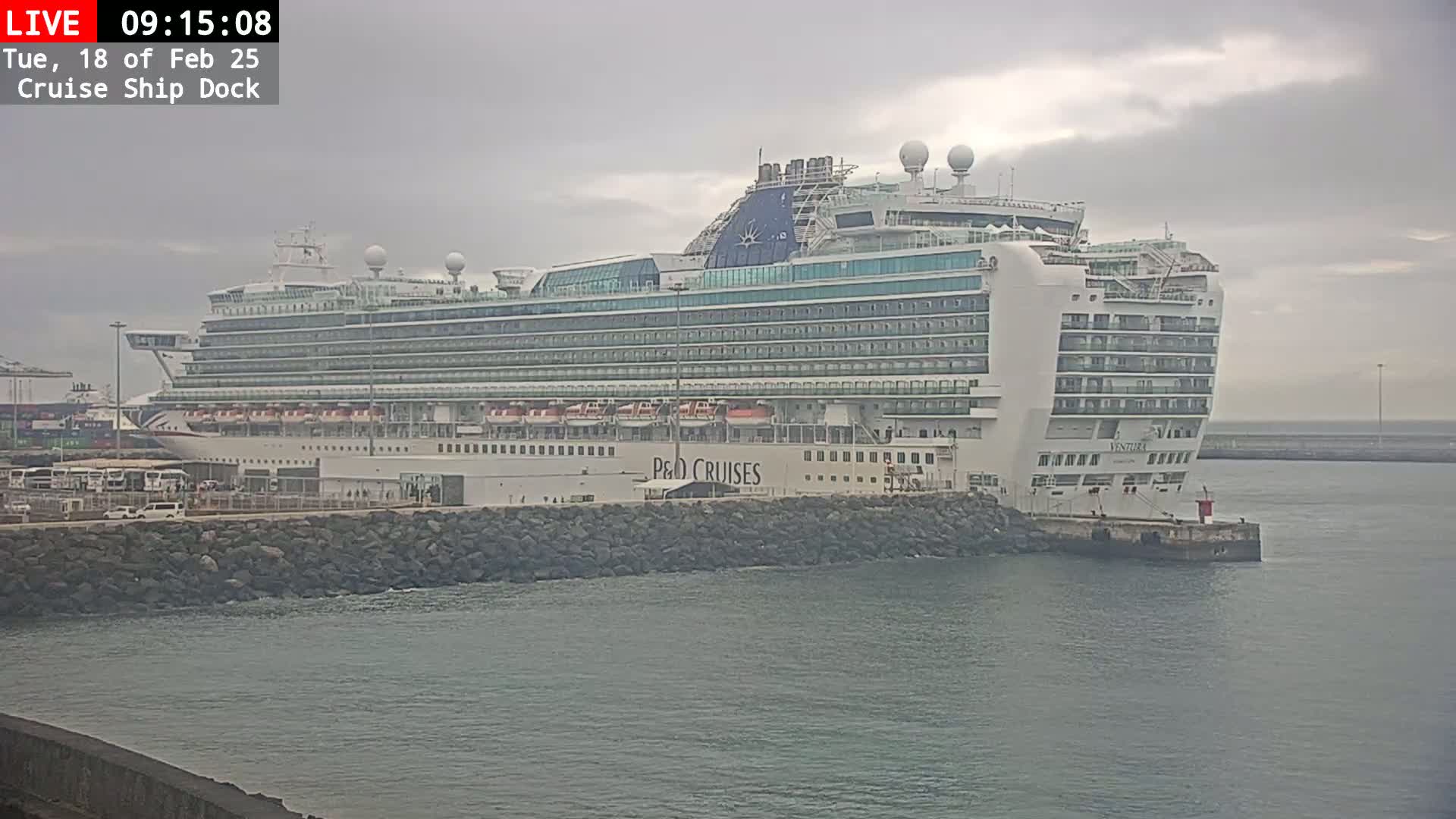 A large cruise ship is docked at a port on an overcast day.