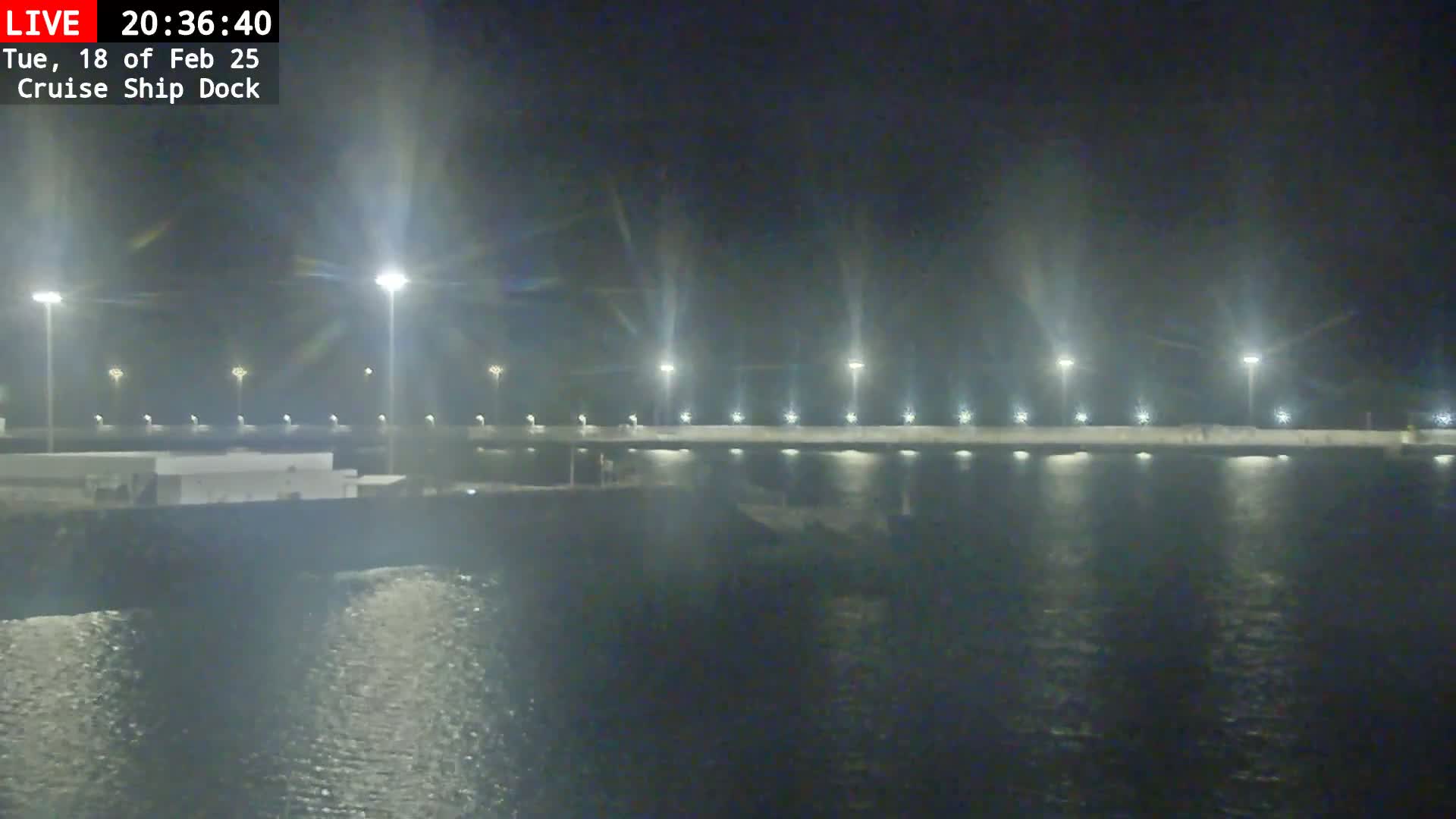 A nighttime view of a cruise ship dock illuminated by numerous lights, with calm water reflecting the lights.