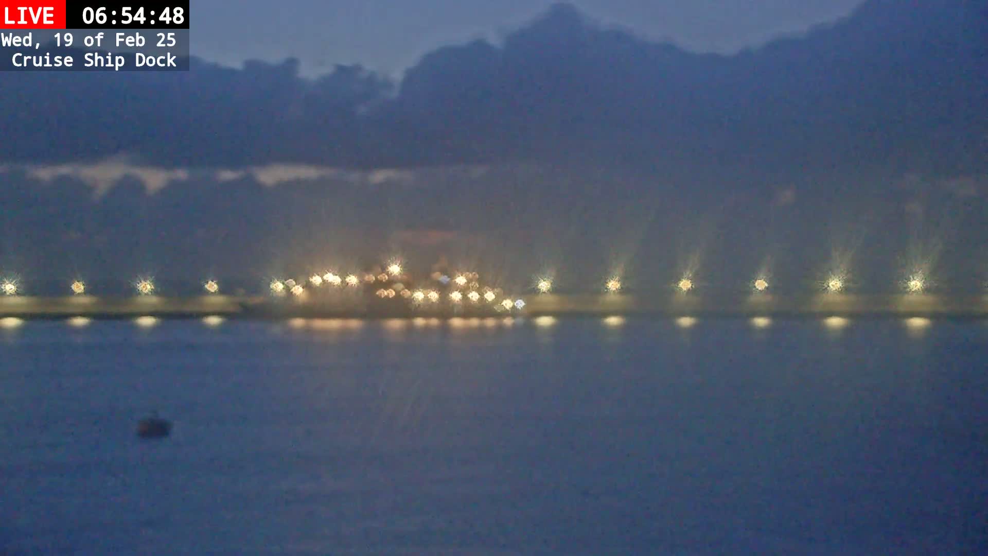 A dimly lit cruise ship dock is visible at night under a dark, cloudy sky, with lights illuminating the dock and a dark body of water in the foreground.