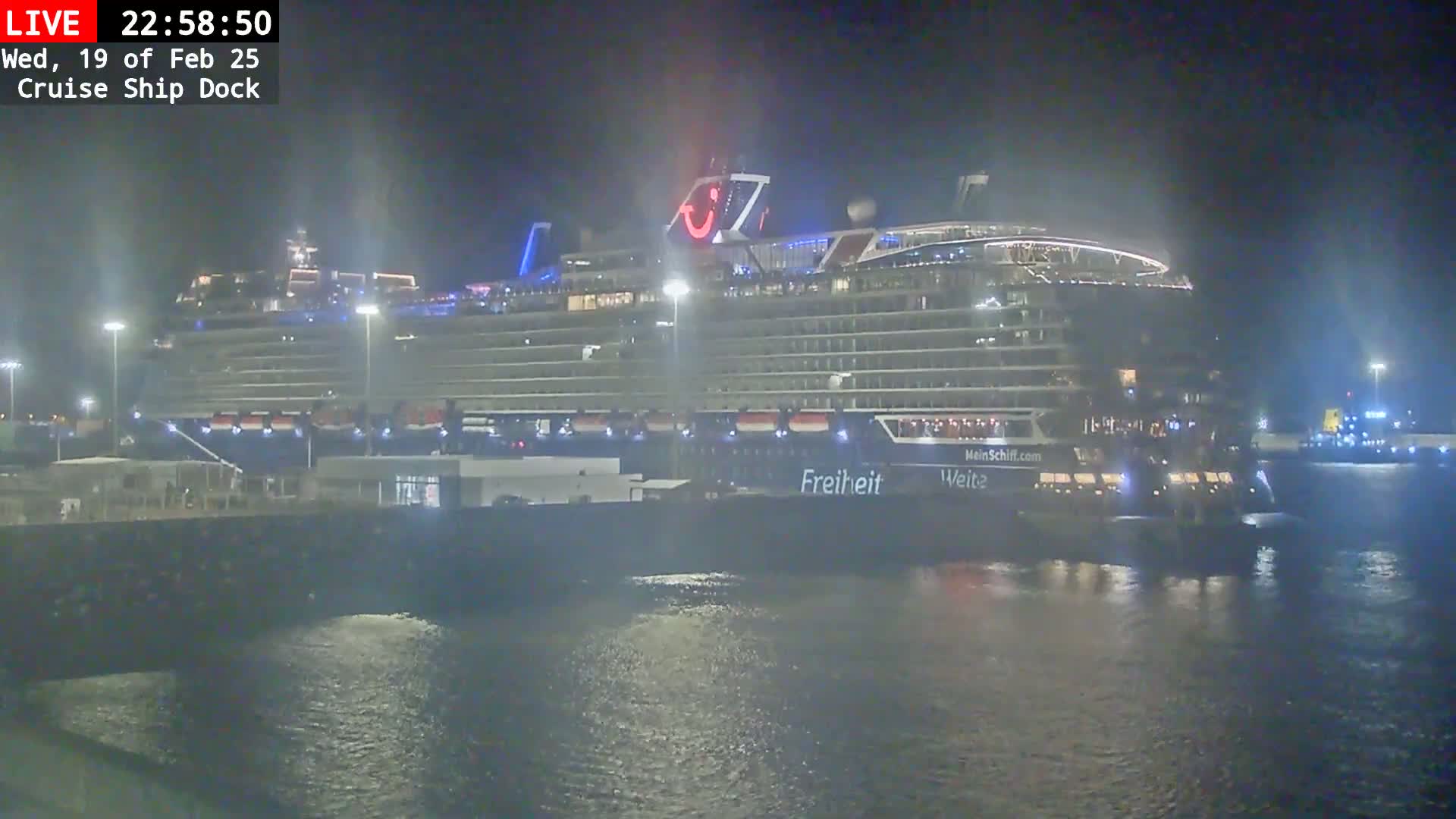 A large cruise ship is docked at night in foggy conditions.