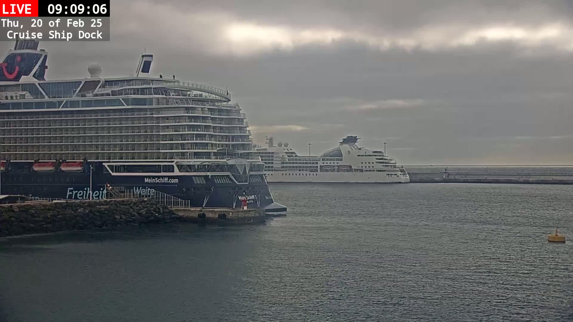 Two large cruise ships are docked at a harbor under a cloudy sky.