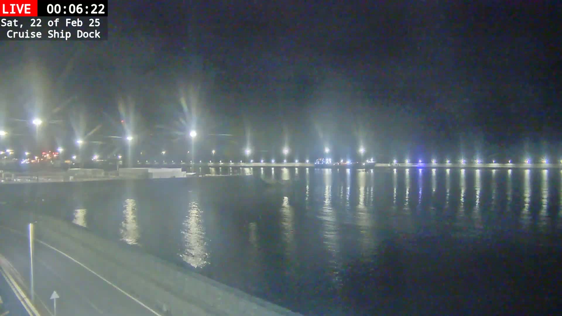 A nighttime view of a cruise ship dock, illuminated by lights reflecting on calm water.