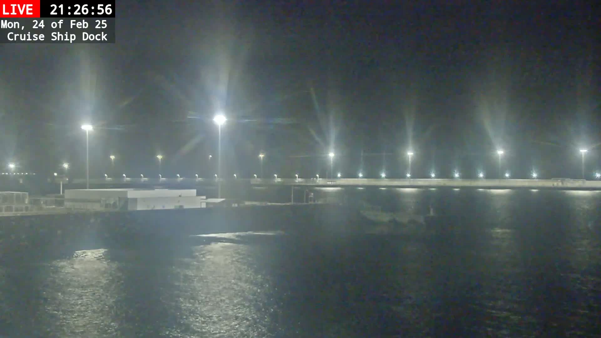 A nighttime view of a cruise ship dock illuminated by many bright lights, with slightly choppy water visible in the foreground.