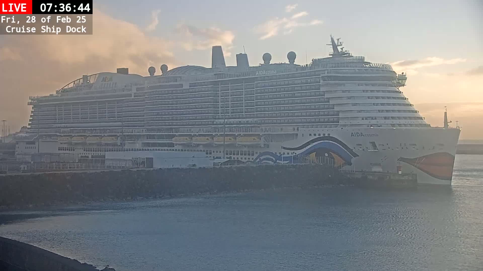 A large cruise ship is docked at a pier in hazy morning light.