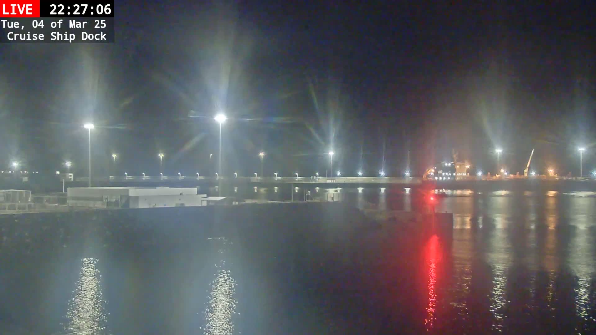 A nighttime view of a cruise ship dock with a large ship in the water, illuminated by bright lights, under hazy conditions.