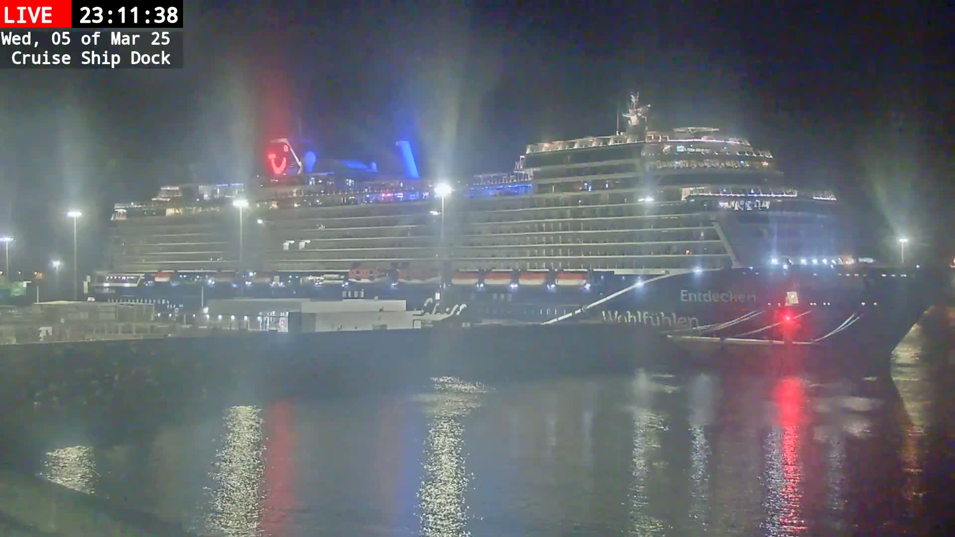 A large cruise ship is docked at night in calm water under a dark sky.