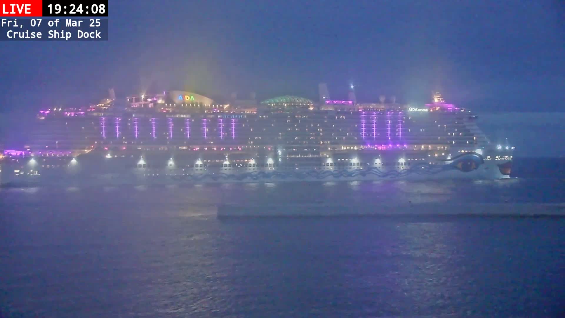 A large cruise ship is docked at night in foggy or misty conditions.