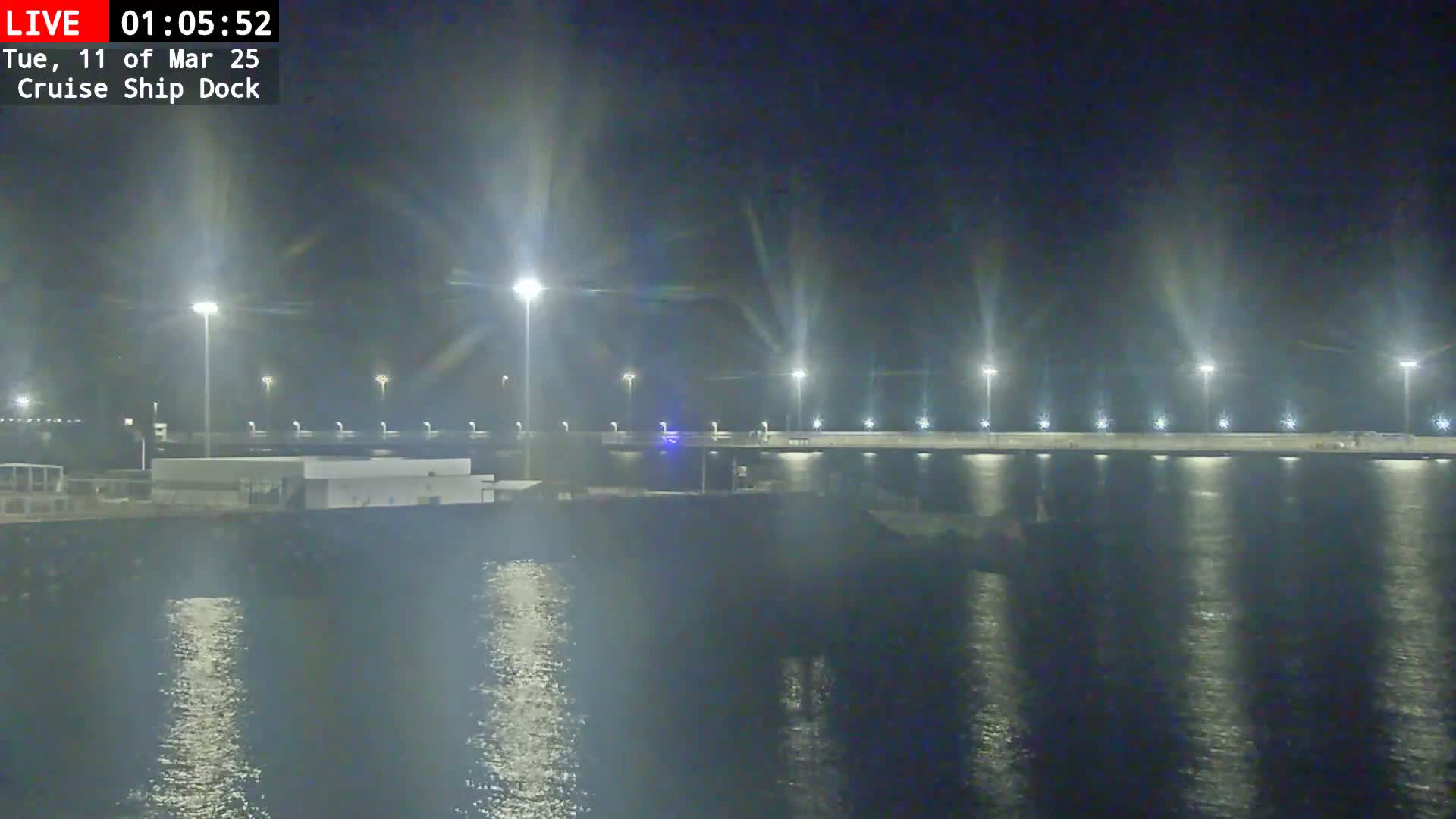 A nighttime view of a brightly lit cruise ship dock extending into calm water.