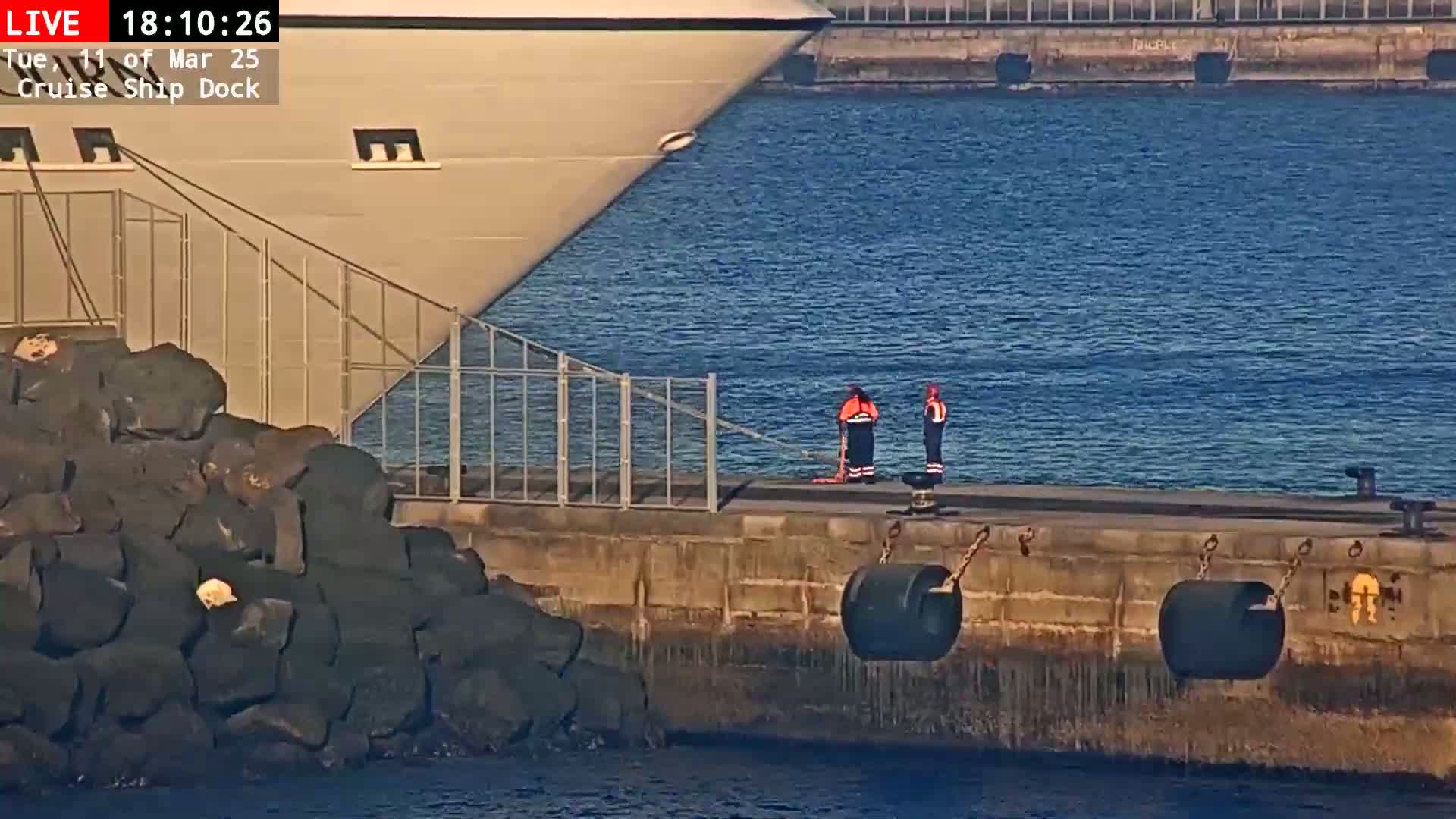 A large cruise ship is docked at a pier, where two people in orange safety vests are standing near large fender rollers; the water is calm and blue under a sunny sky.