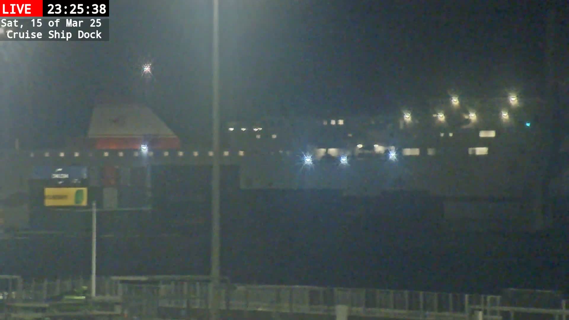 A large cruise ship is docked at night in foggy conditions.