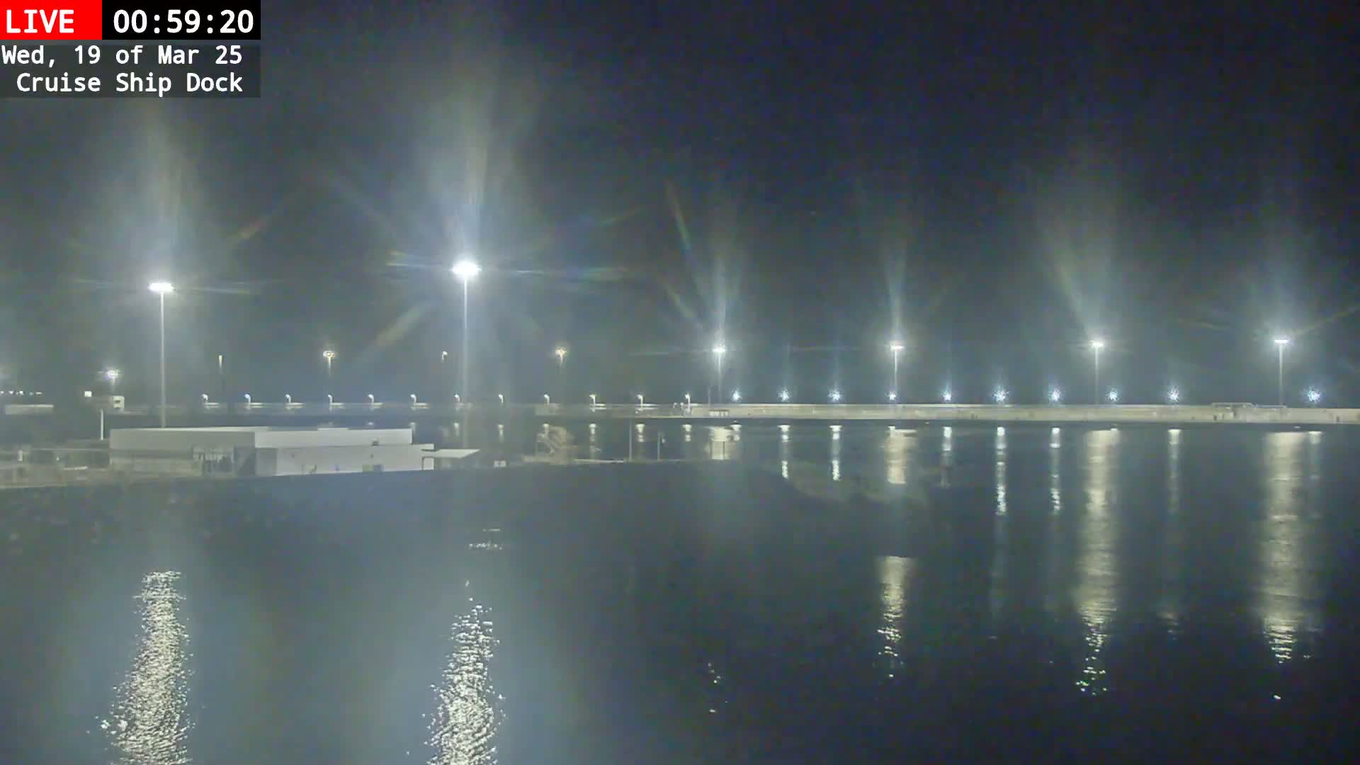 A nighttime view of a brightly lit cruise ship dock extending into calm water under a dark sky.