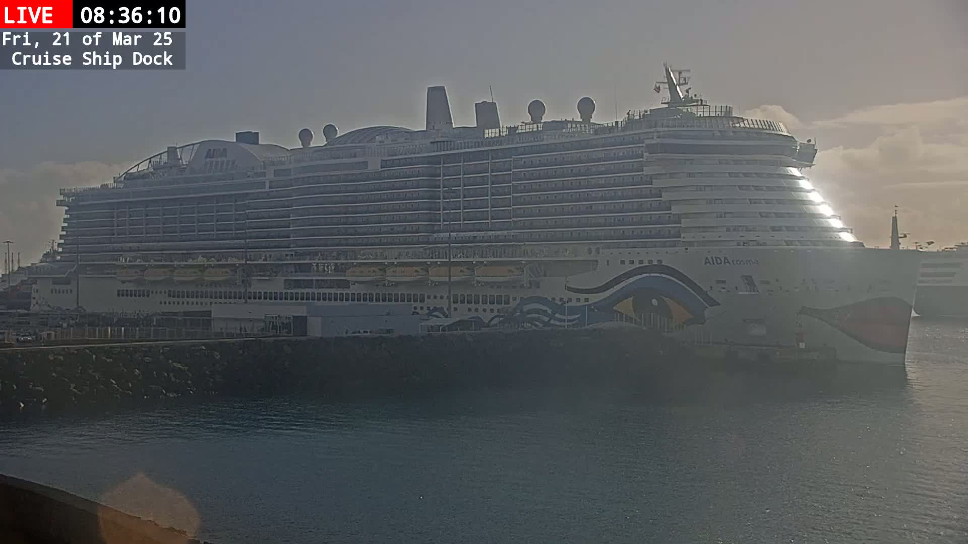 A large cruise ship is docked at a port on a hazy day.