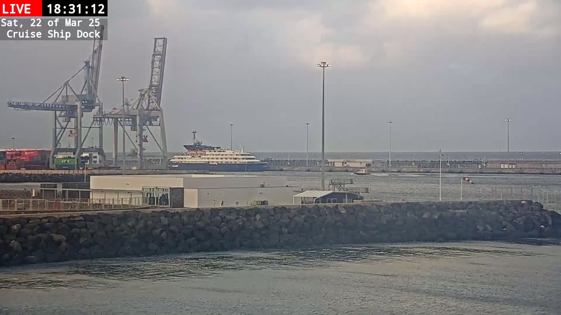 A cruise ship is docked at a port under an overcast sky.