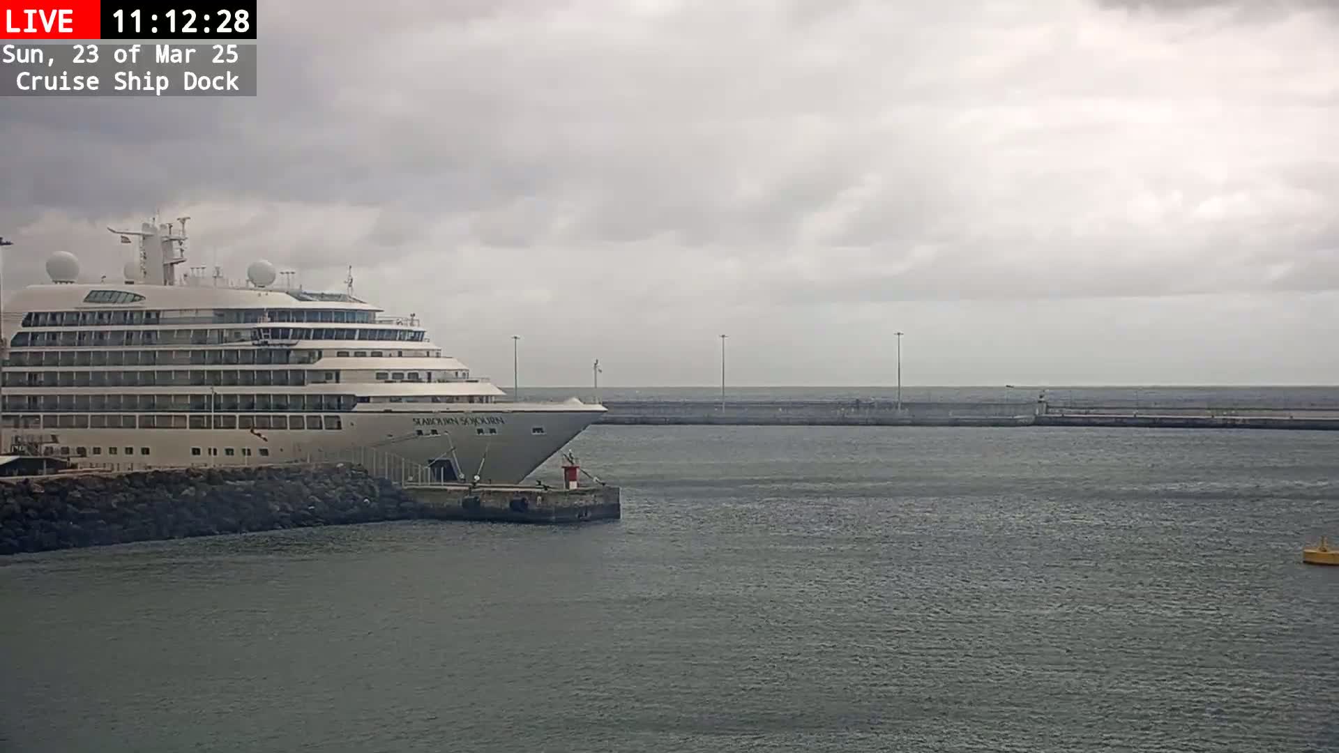 A large cruise ship is docked at a pier on an overcast day.