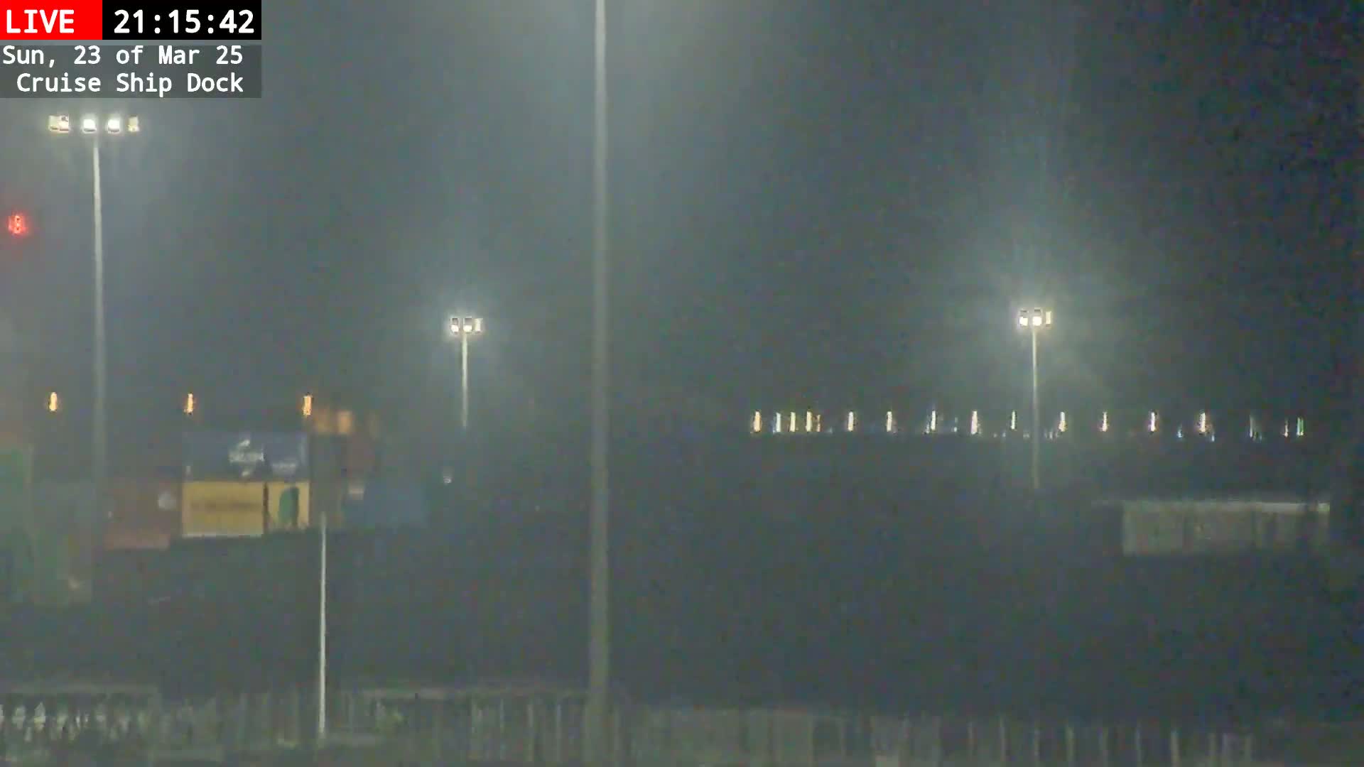 A nighttime, foggy view of a cruise ship dock with several tall lights illuminating a dark, indistinct background.