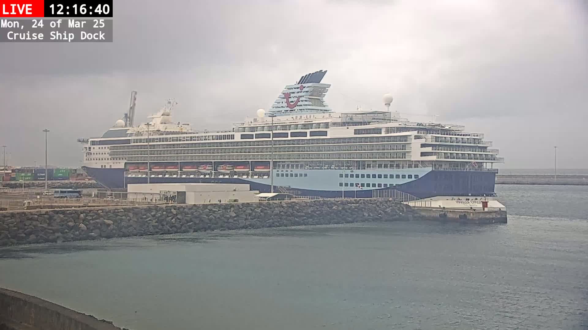 A large cruise ship is docked at a port on an overcast day.