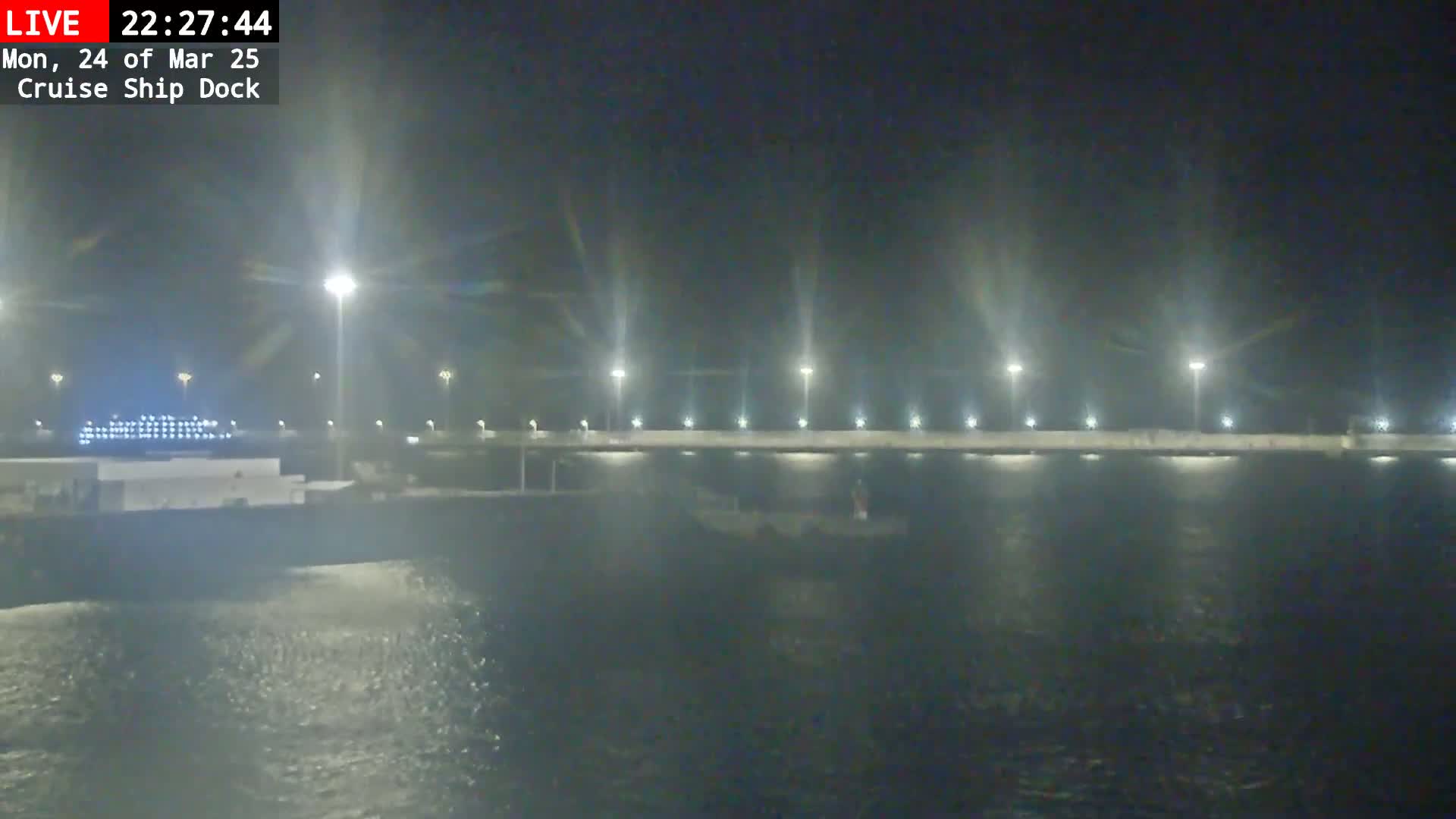A cruise ship is docked at night, with choppy water visible in front of a lit pier.