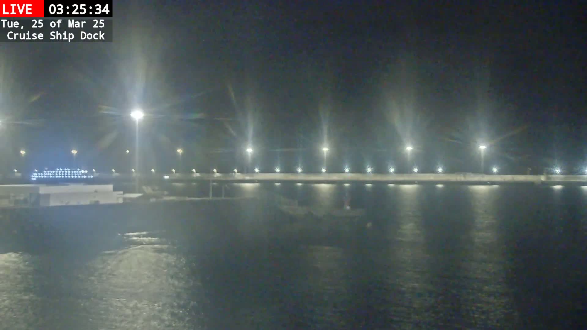 A cruise ship is docked at night in hazy conditions, illuminated by lights along a seawall.
