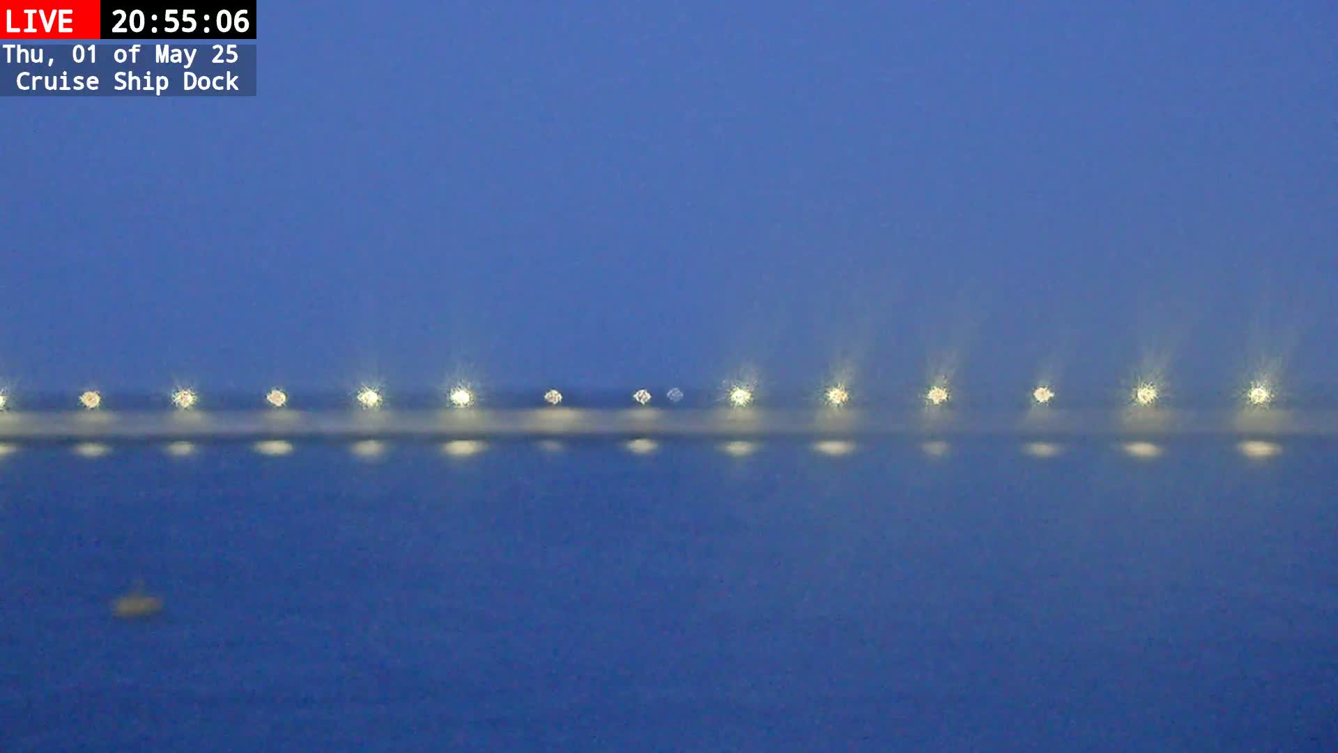 A row of lights illuminates a dock at night over a dark blue body of water in hazy conditions.