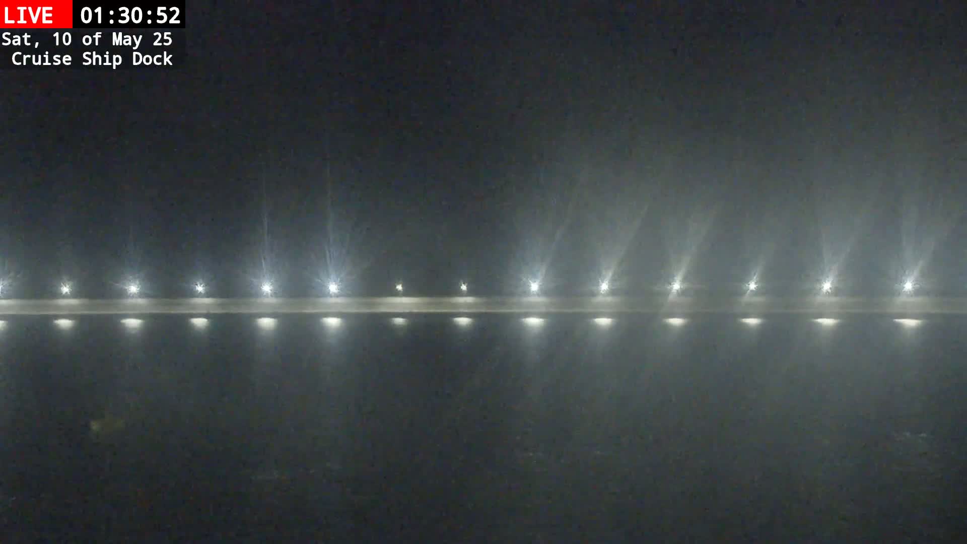 A nighttime view of a cruise ship dock in foggy conditions, illuminated by a row of lights.