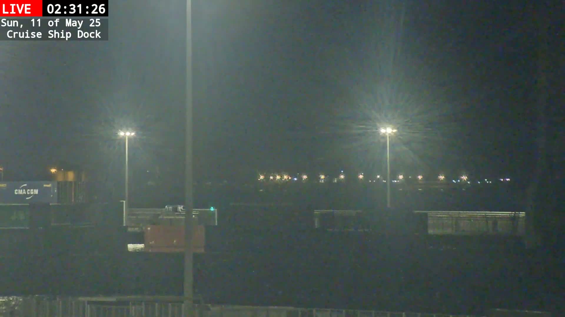 A nighttime view of a dimly lit cruise ship dock with two tall light poles illuminating a dark area.