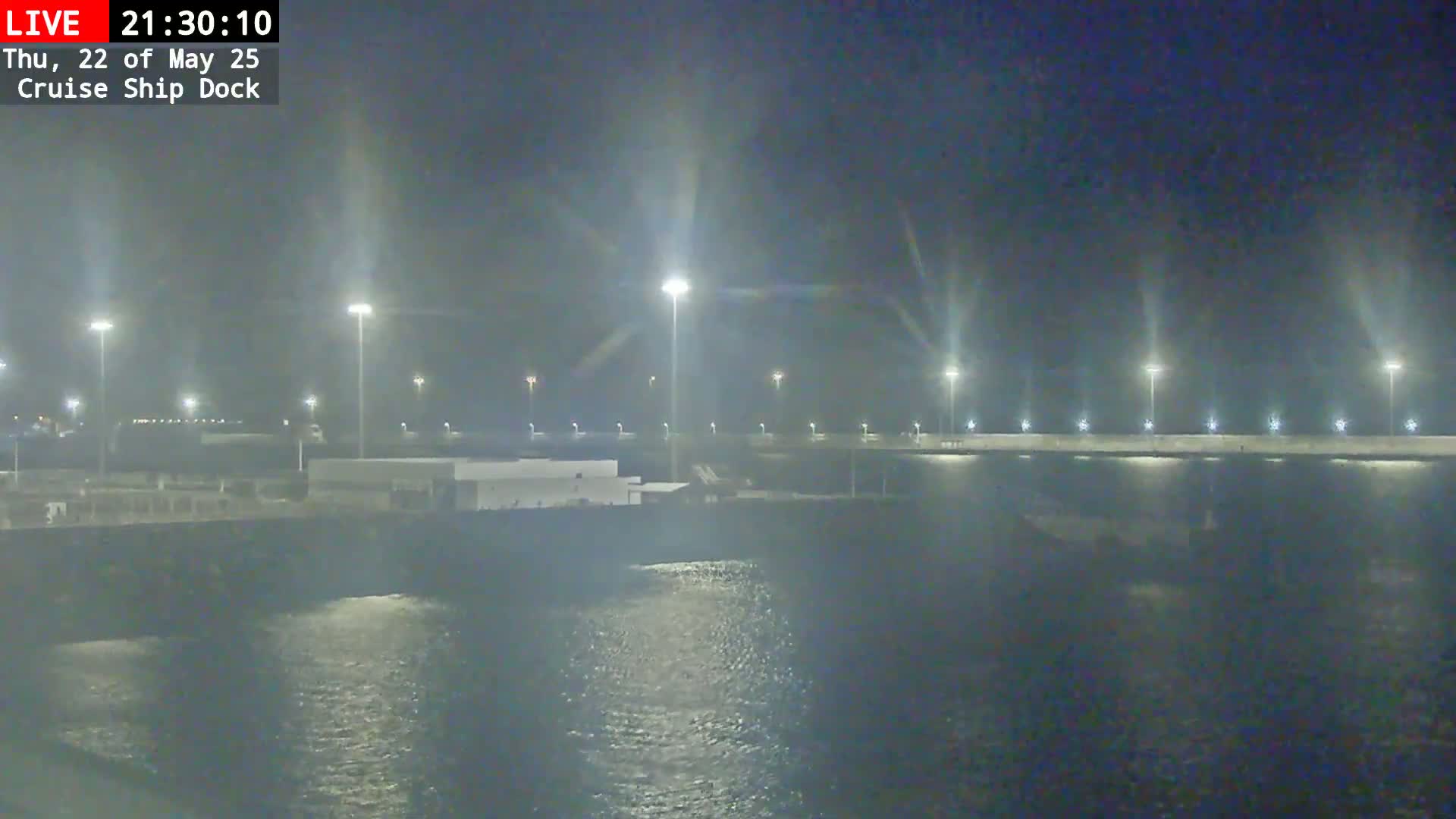 A nighttime view of a cruise ship dock, illuminated by many tall lights, with calm water visible in the foreground.