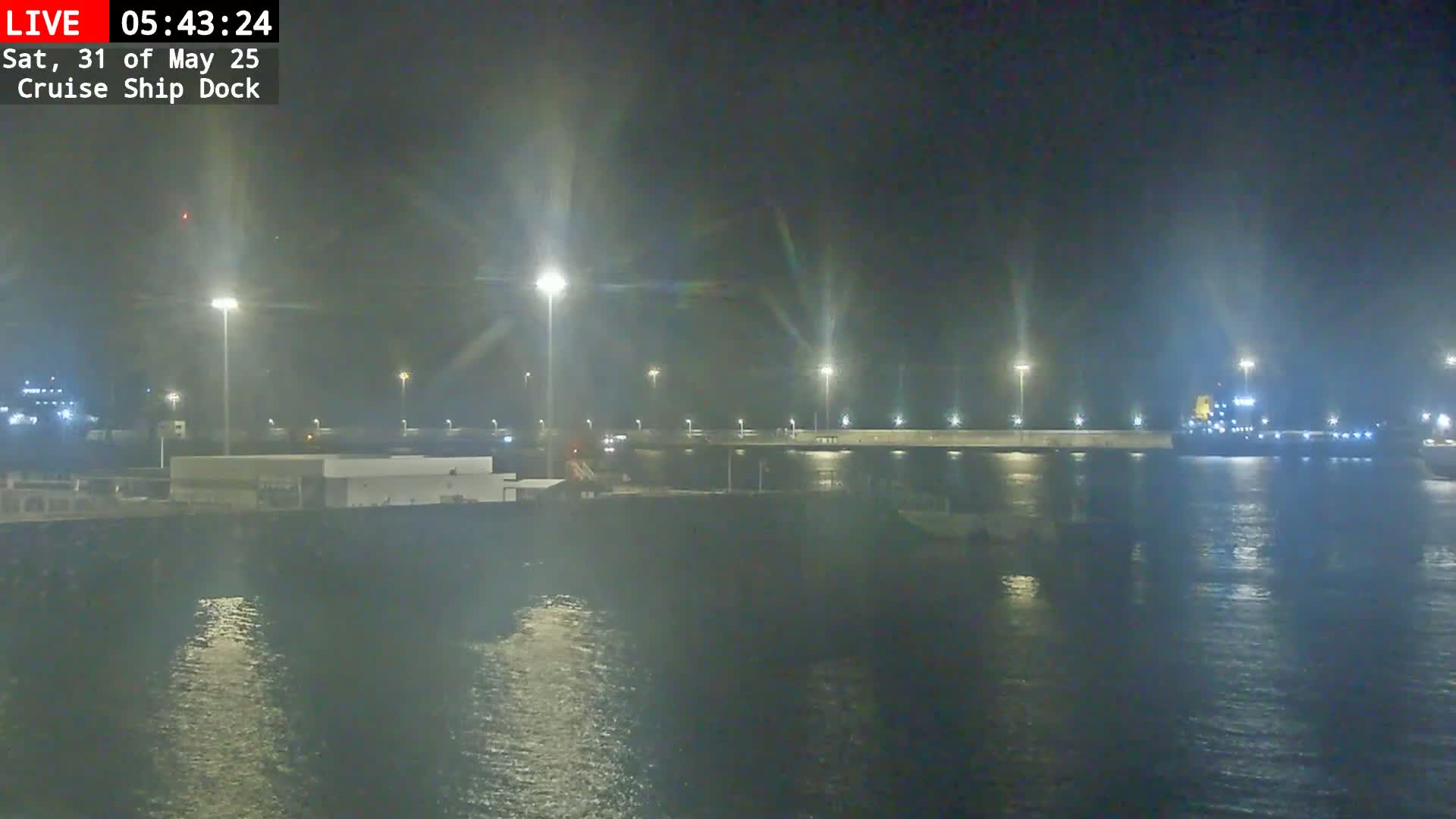 A nighttime view of a cruise ship dock with a large ship moored, illuminated by several bright lights, under hazy conditions.