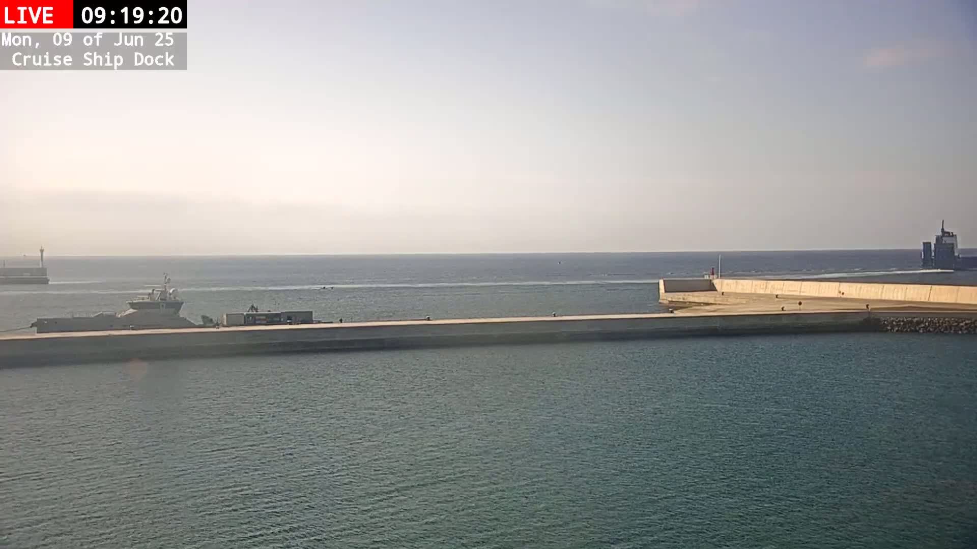 A cruise ship is docked at a harbor on a hazy day.