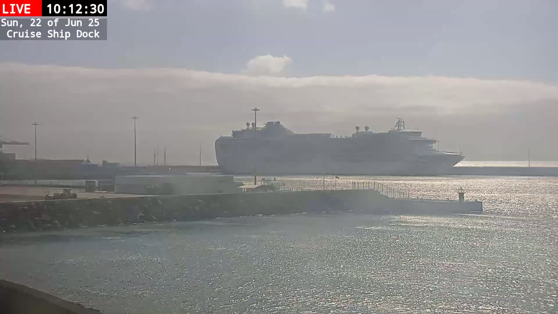 A large cruise ship is docked at a pier on a hazy, sunny day.
