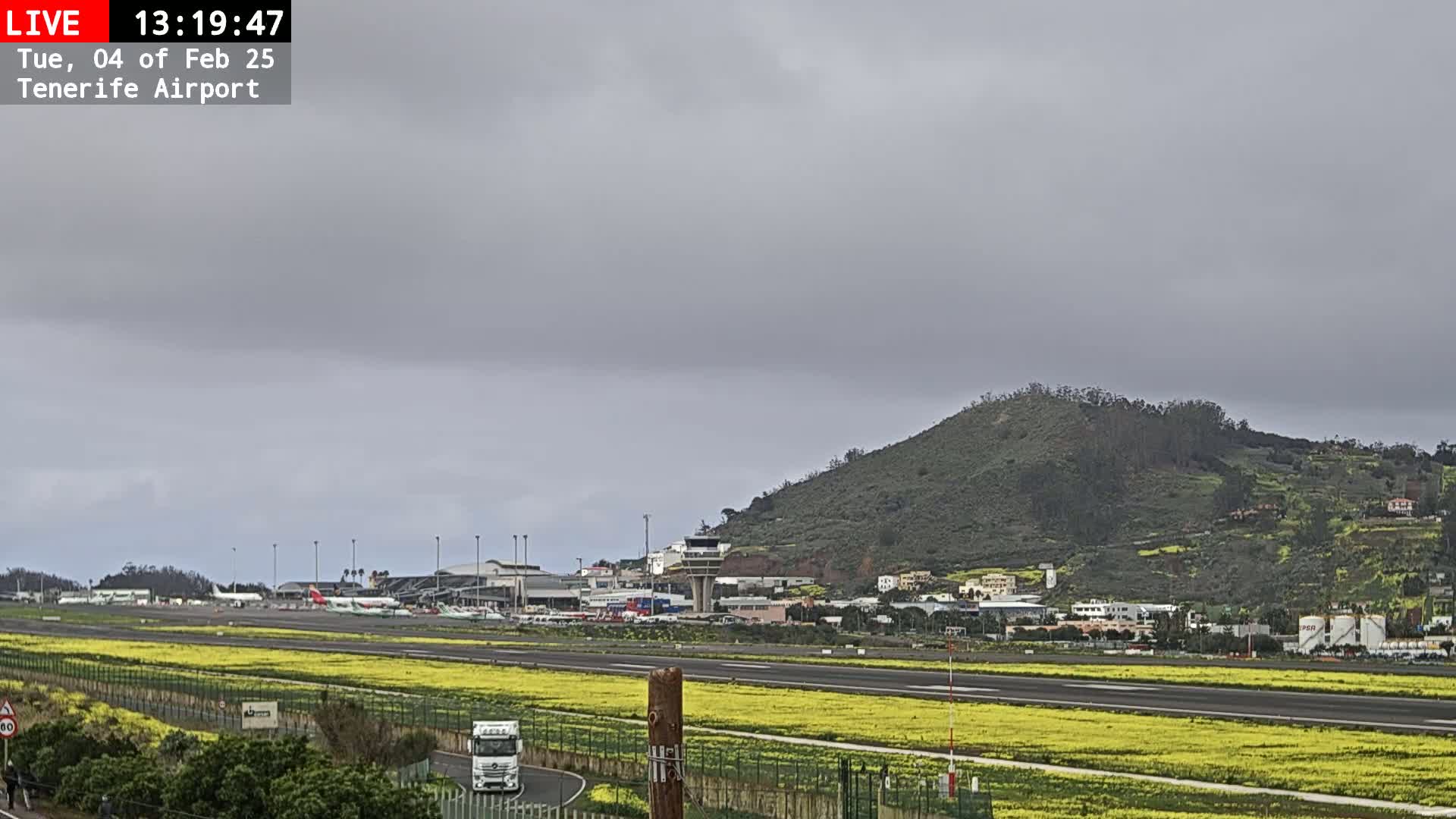 A view of an airport runway with several airplanes, a control tower, and buildings, under an overcast sky, with a green hill in the background and a field of yellow flowers in the foreground.