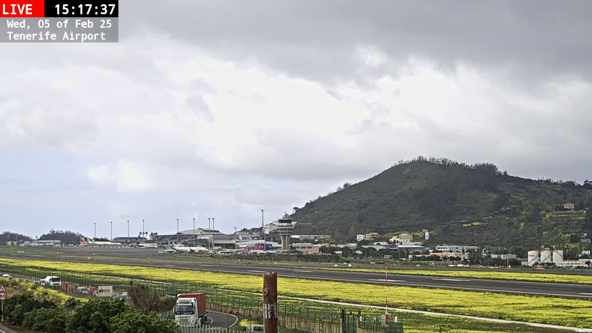 An airport runway with several planes parked on the tarmac is visible beneath an overcast sky, with a large green hill in the background and a field of yellow flowers in the foreground.