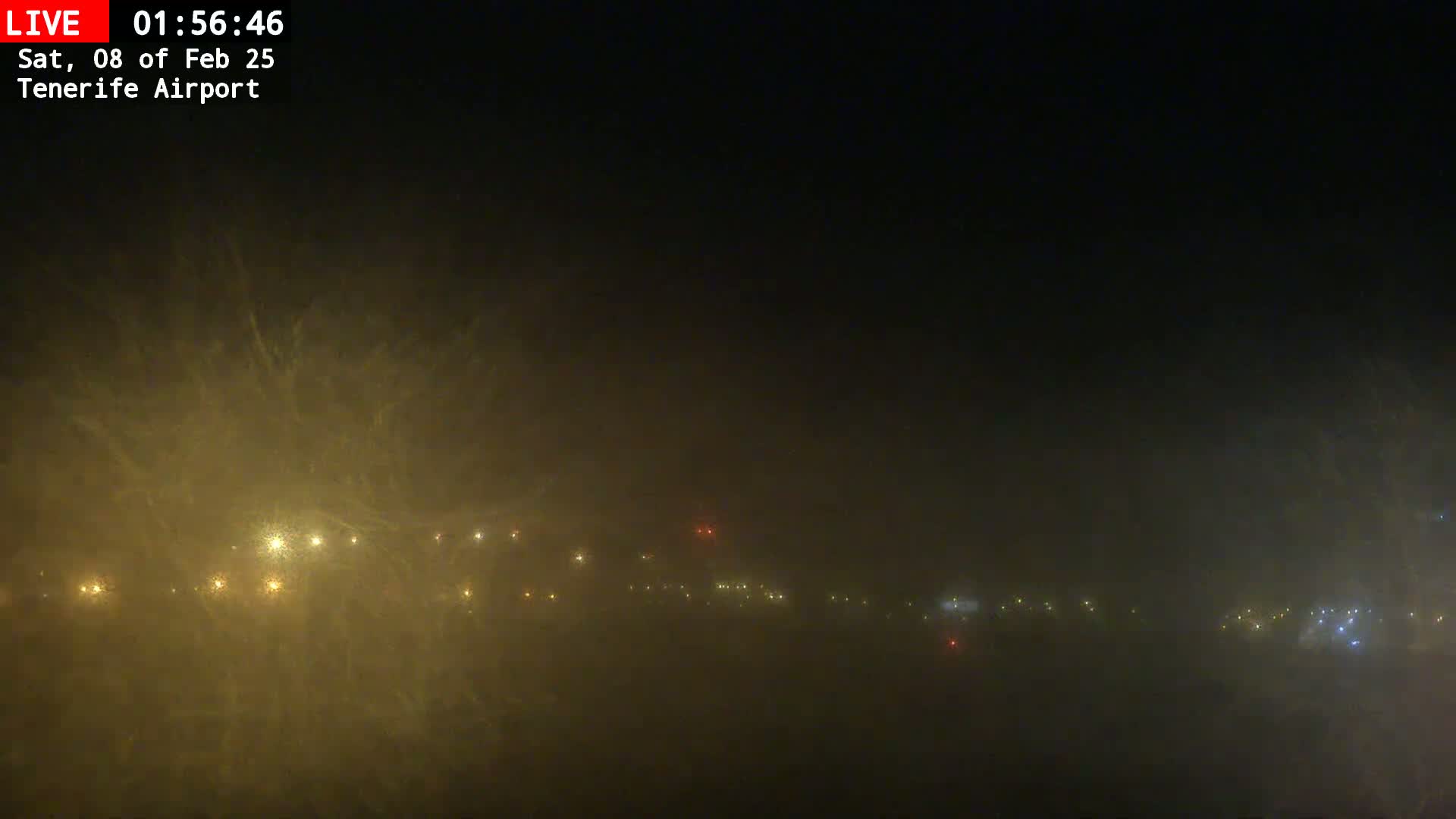A nighttime view of a foggy airport runway with dimly lit ground lights visible through the haze.