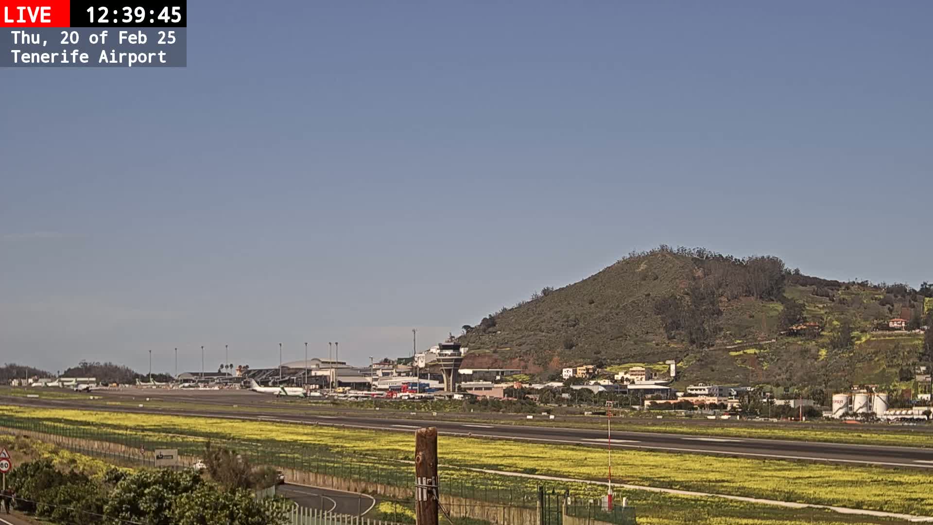 A sunny view of an airport runway, surrounded by yellow wildflowers, with a green hill in the background.