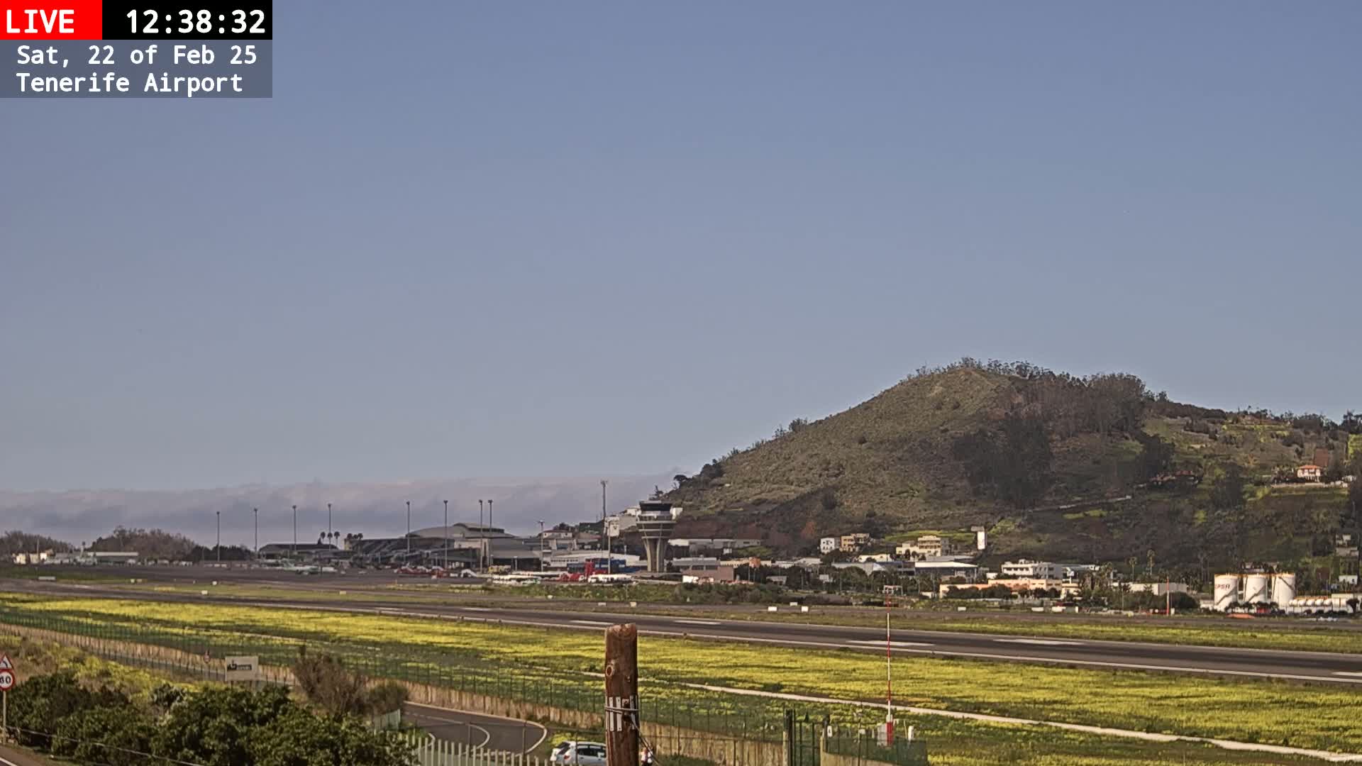 A clear, sunny day reveals an airport runway with yellow wildflowers in the foreground, airport buildings, and a hill in the background.