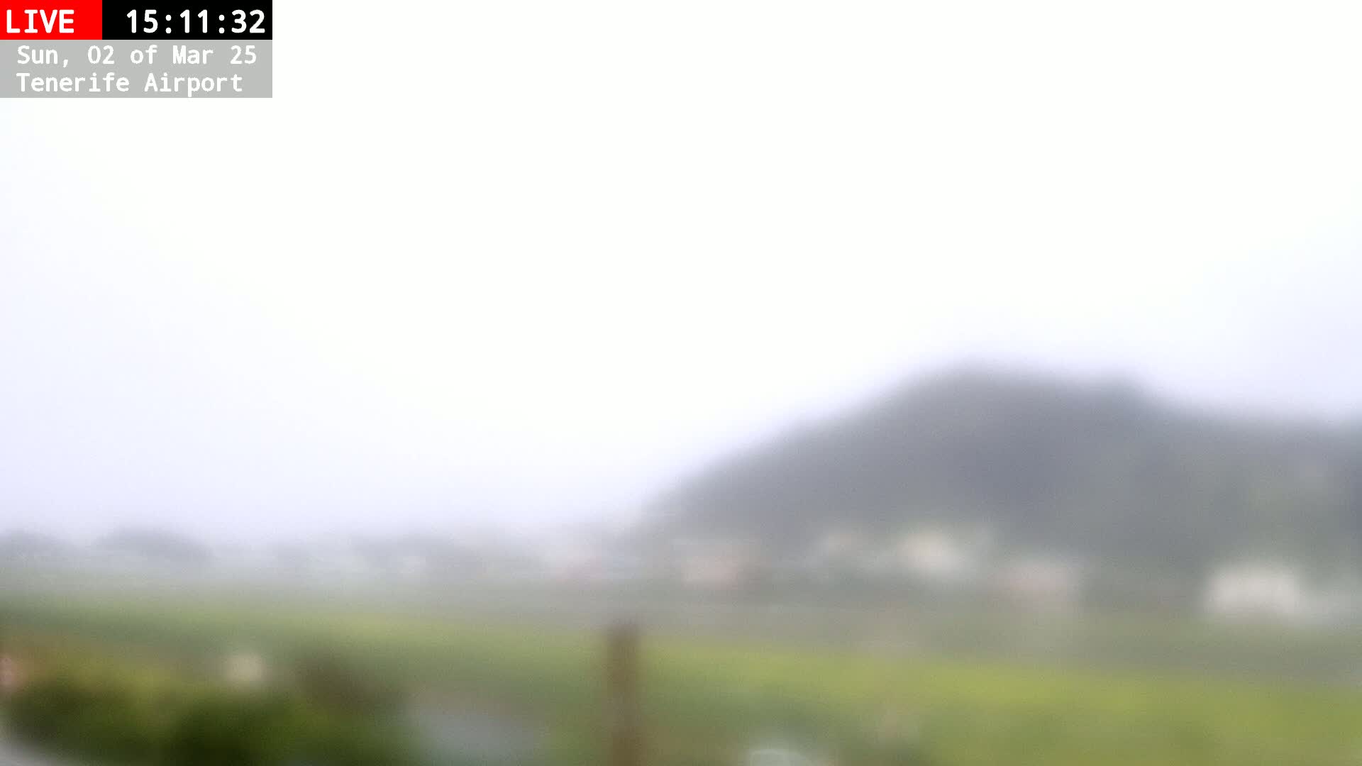 A blurry view of a foggy landscape shows a hill in the background and vegetation in the foreground.
