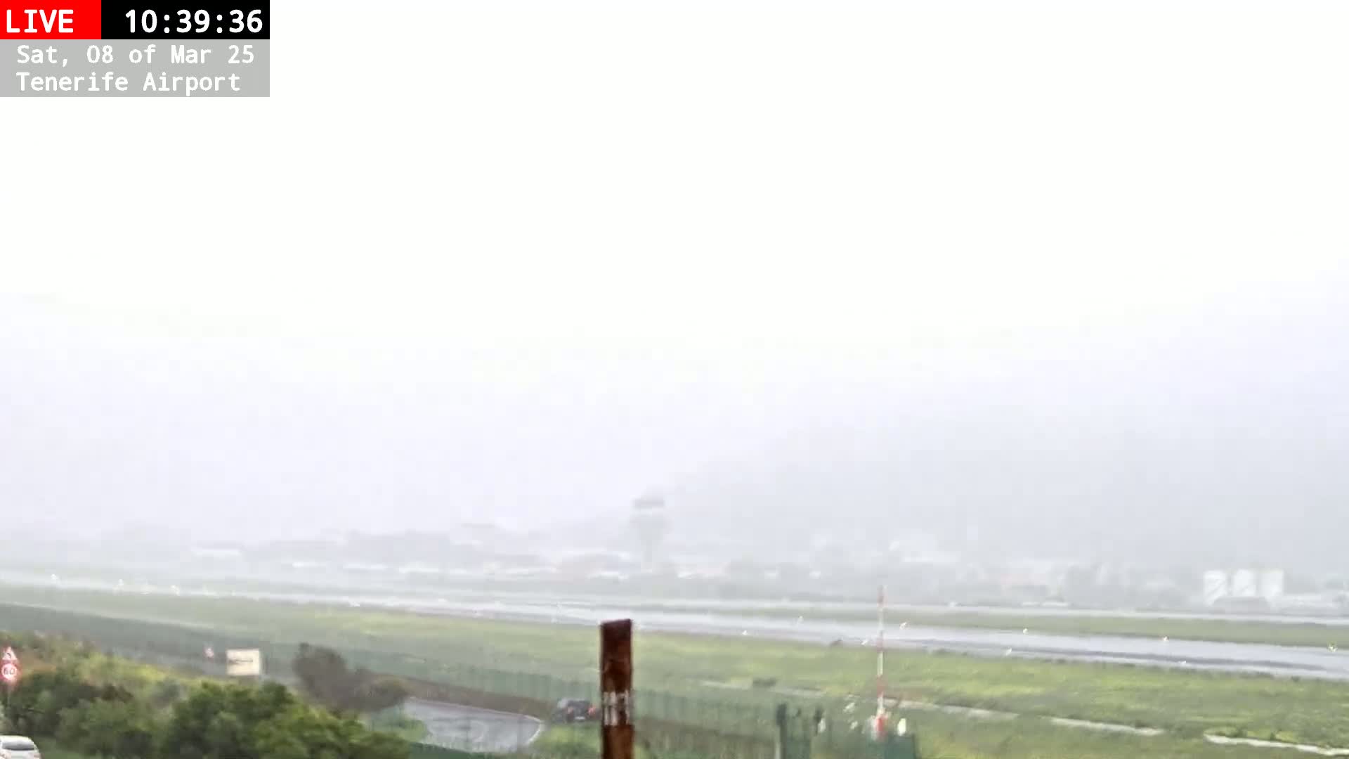 A rainy view of an airport runway and control tower in the distance, with some vegetation in the foreground.