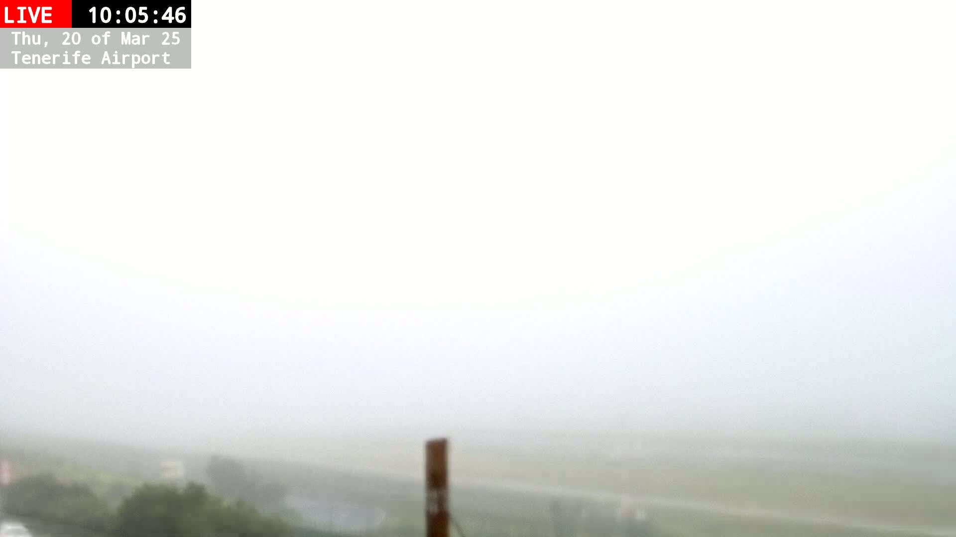 A thick fog obscures the view of a flat landscape with some vegetation visible in the bottom left corner.