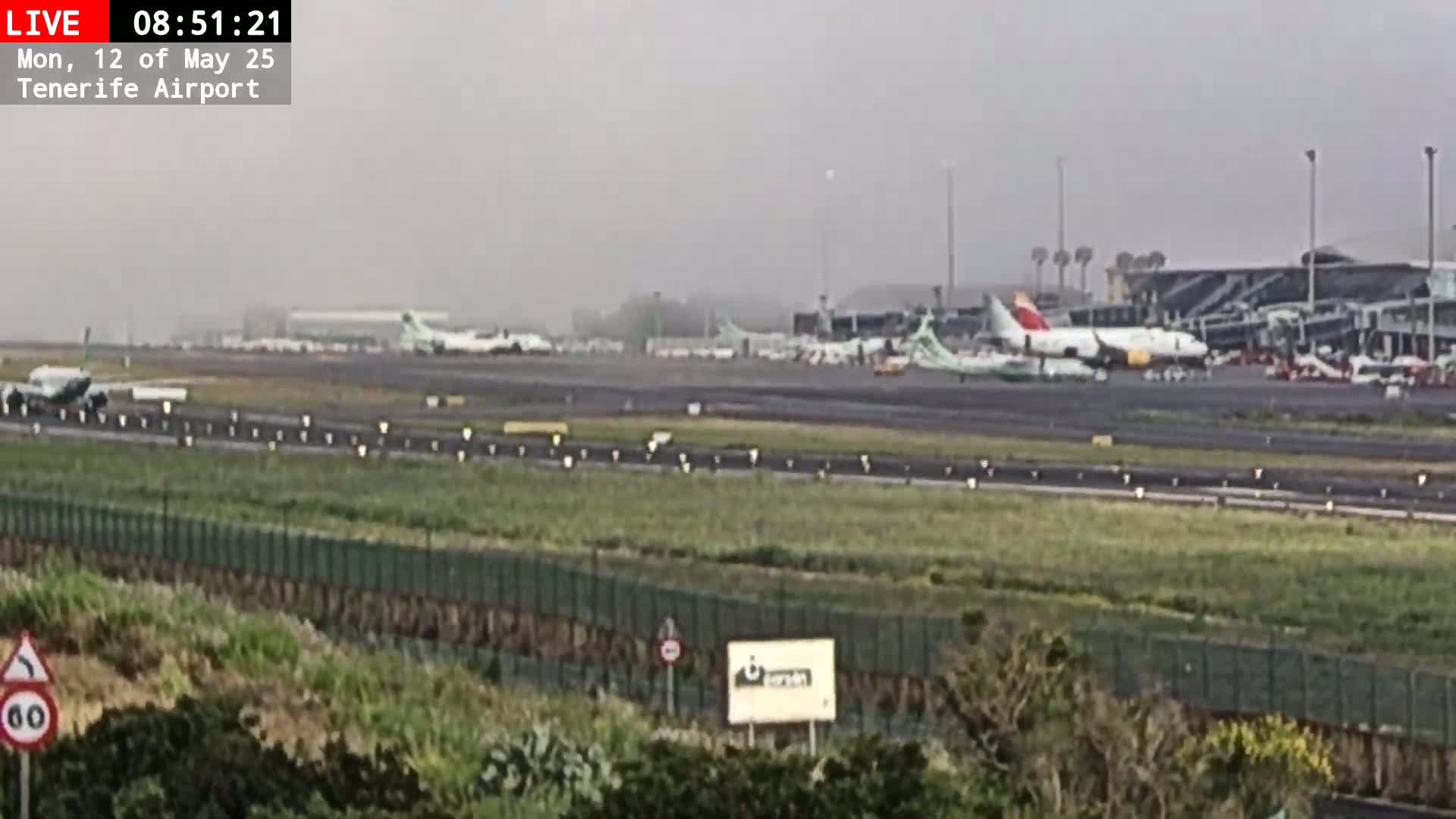 Several airplanes are parked on an airport tarmac in foggy conditions.