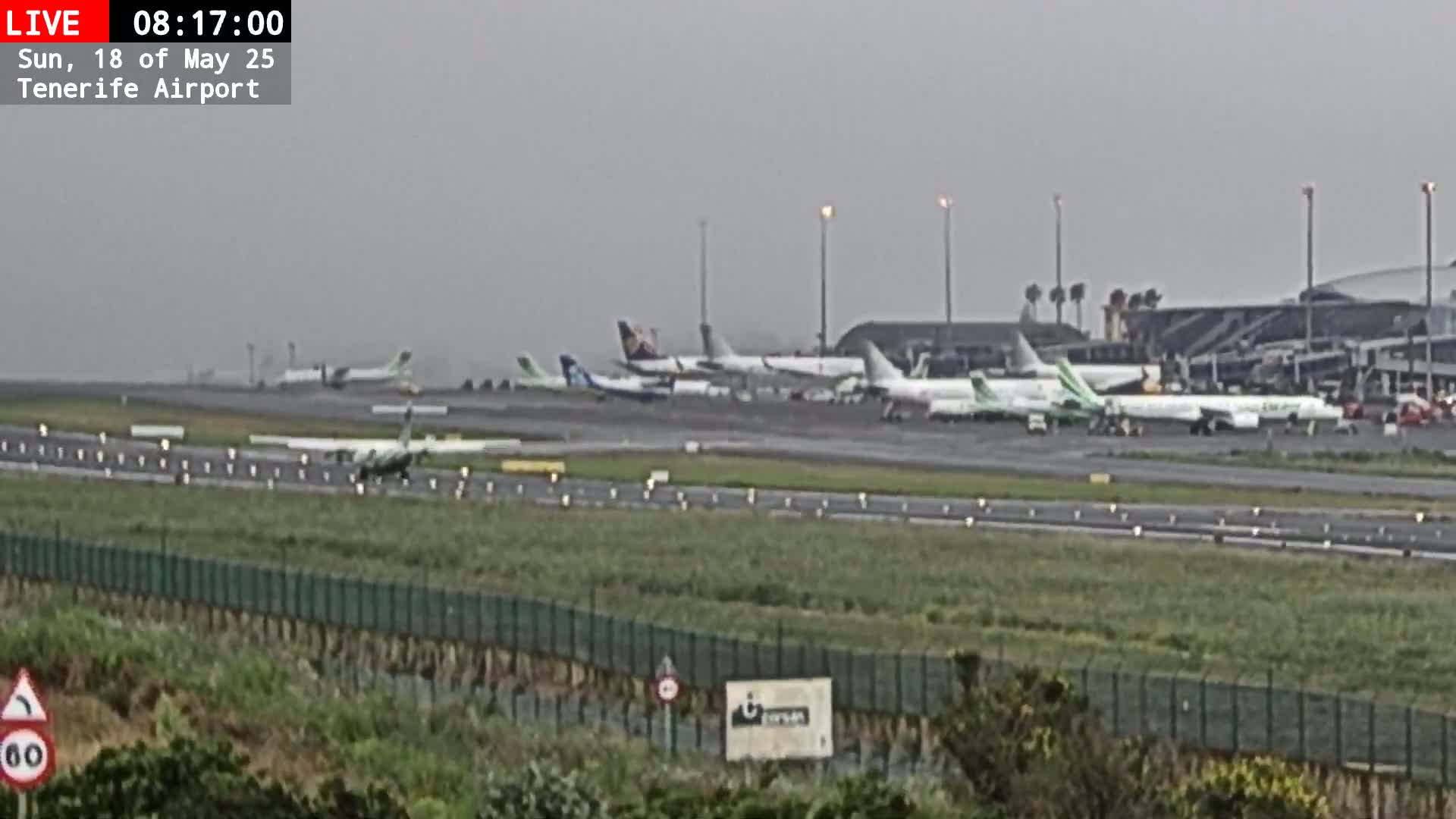 A small airplane is on a tarmac near many larger planes, all under an overcast sky.