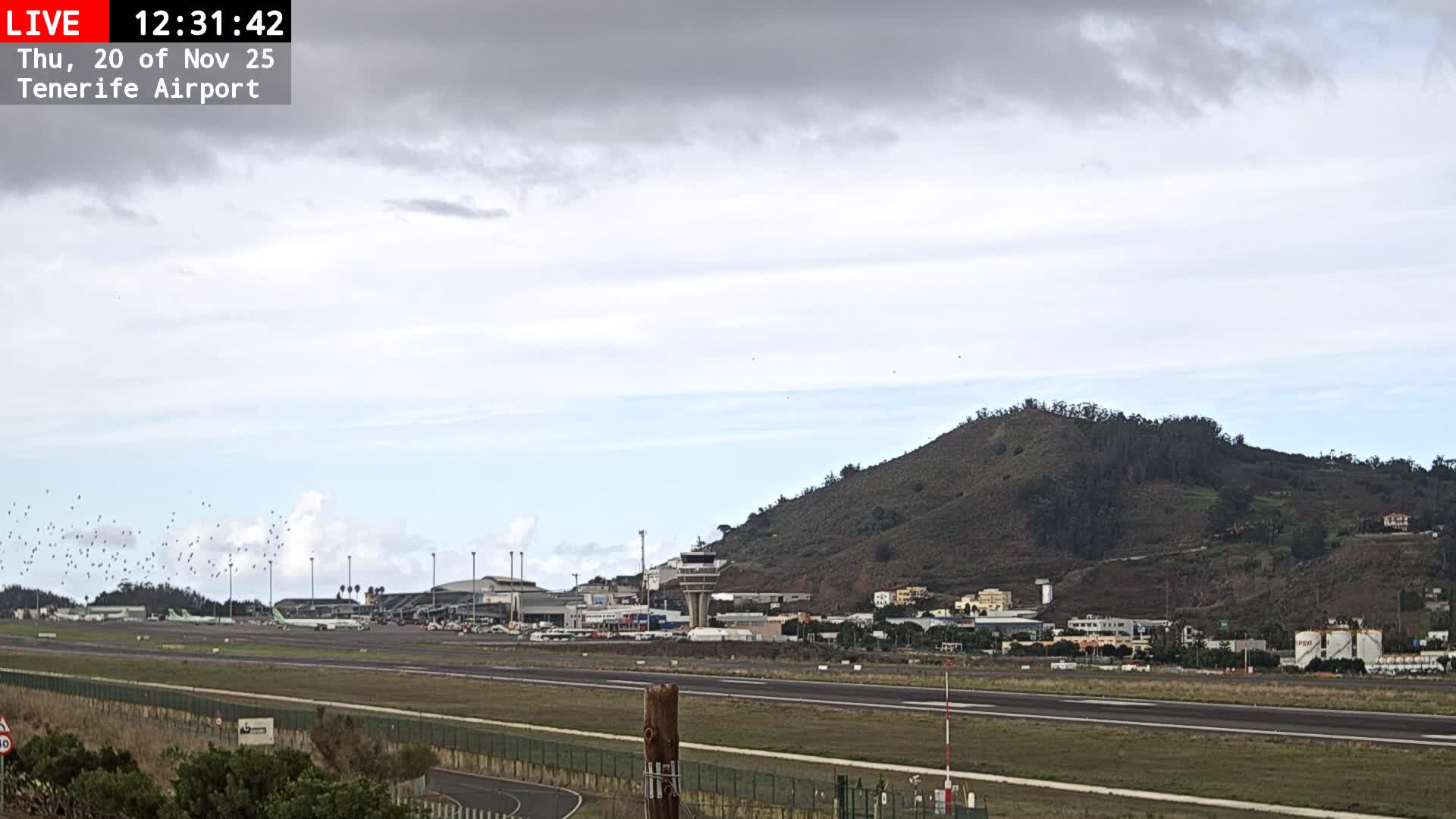 (Los Rodeos)Tenerife North Airport Live Cam - Las Palmas, Spain