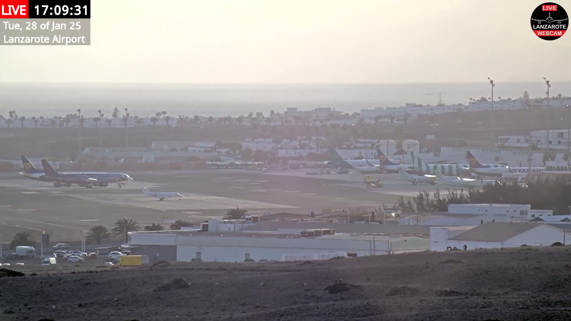A hazy view of an airport tarmac with several airplanes, airport buildings, and vehicles, overlooking a calm ocean under a muted, light sky.