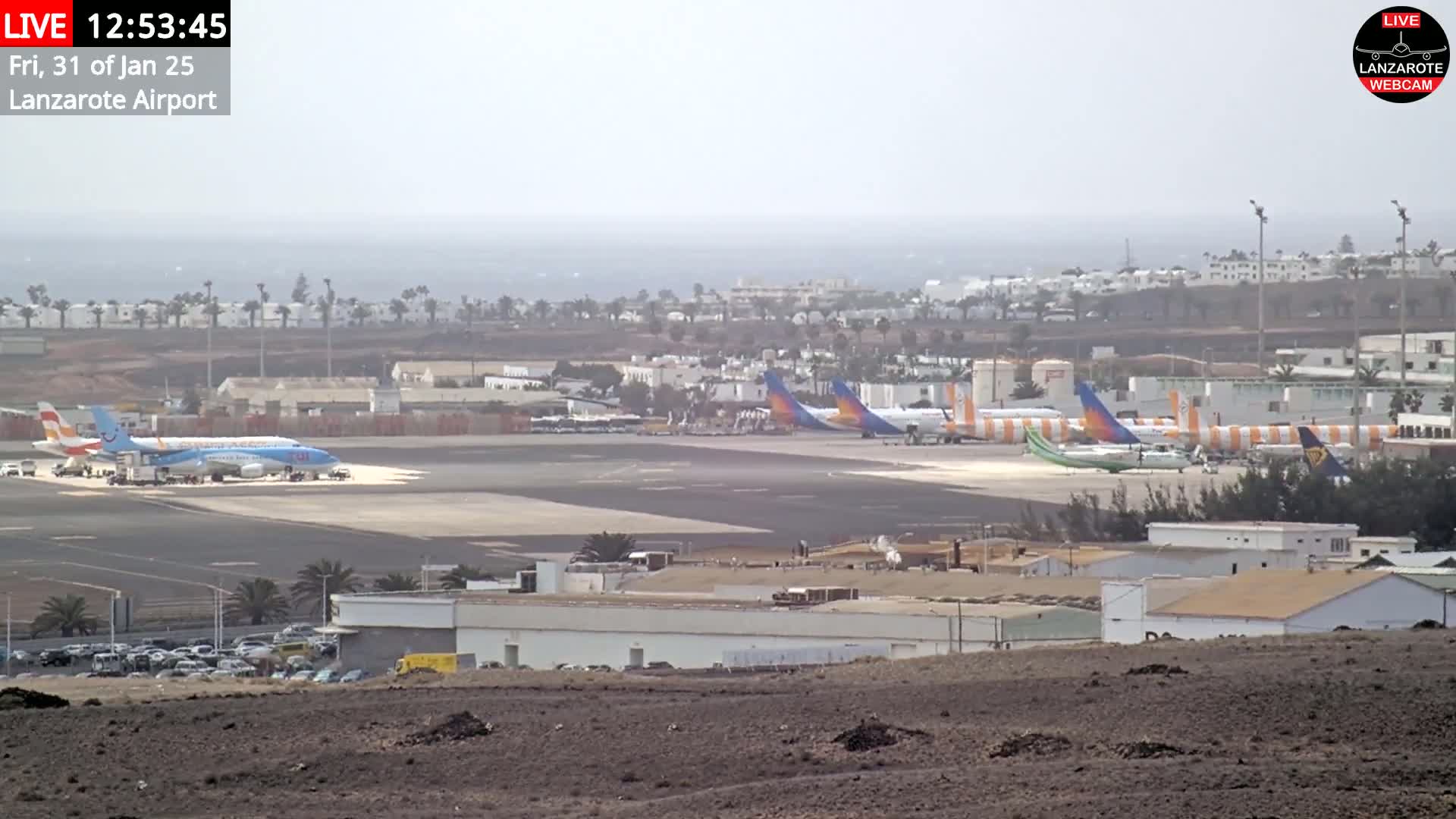 Several airplanes are parked on an airport tarmac, with a hazy or foggy sky and a distant ocean visible in the background.