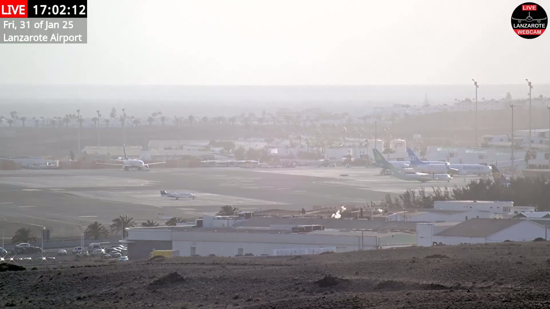 A hazy, sunlit view of an airport tarmac with several airplanes, airport buildings, and palm trees.